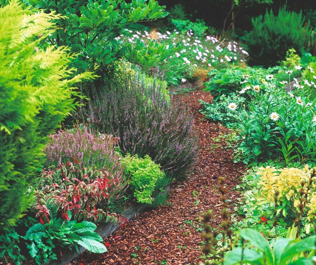 19 garden path ideas beautiful DIY and budget looks for a stylish