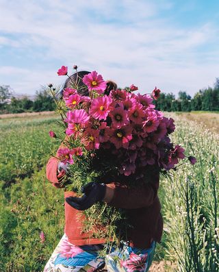 Holding pink flowers