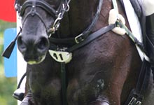 eventingnew1.jpg