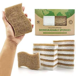 AIRNEX Biodegradable Natural Kitchen Sponge 