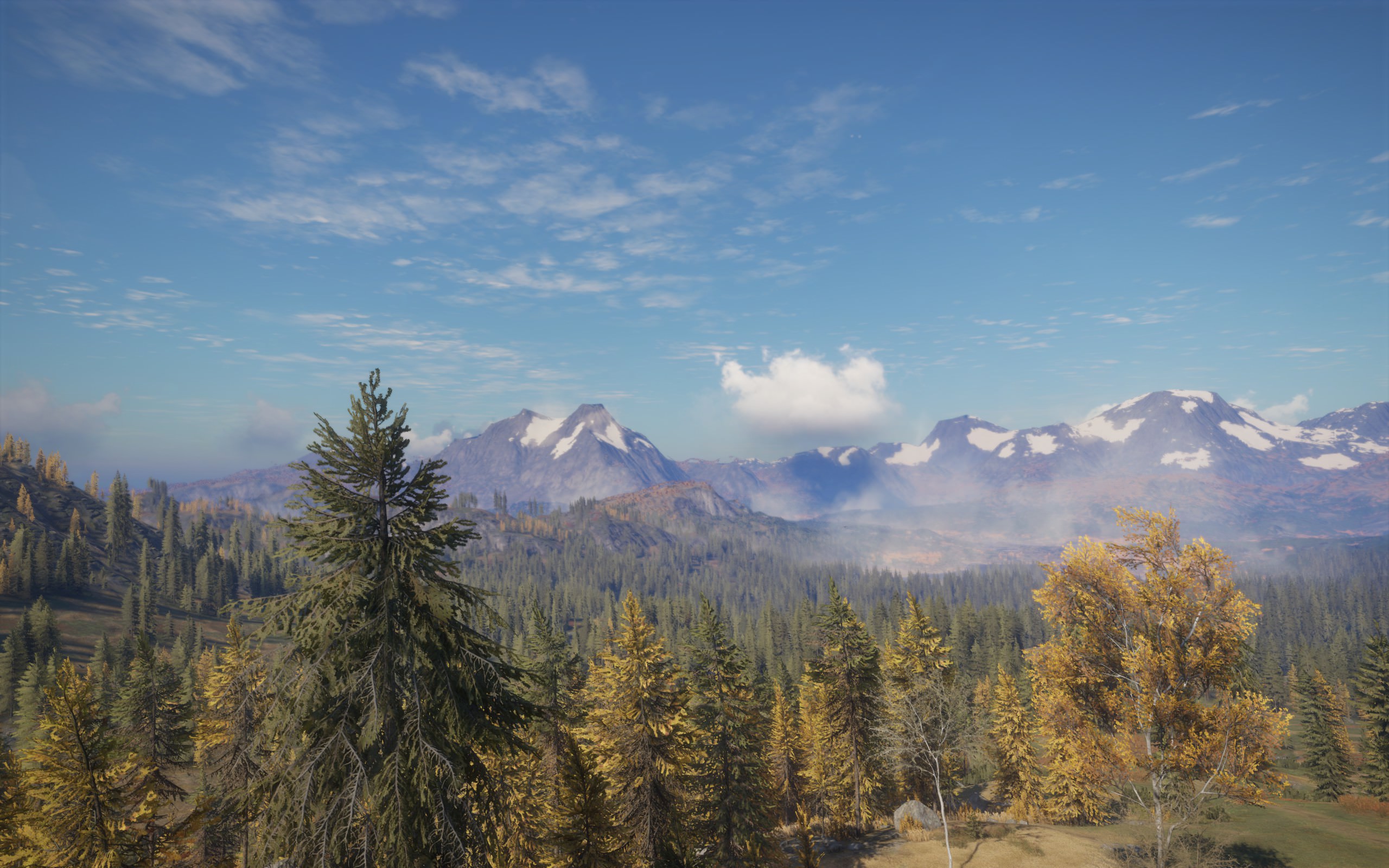 Screenshot by Paizon Ryker. See more on Imgur.