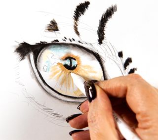 sketch of an eye with pupil coloured in