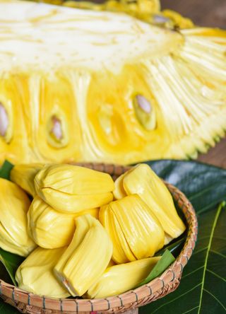 jackfruit