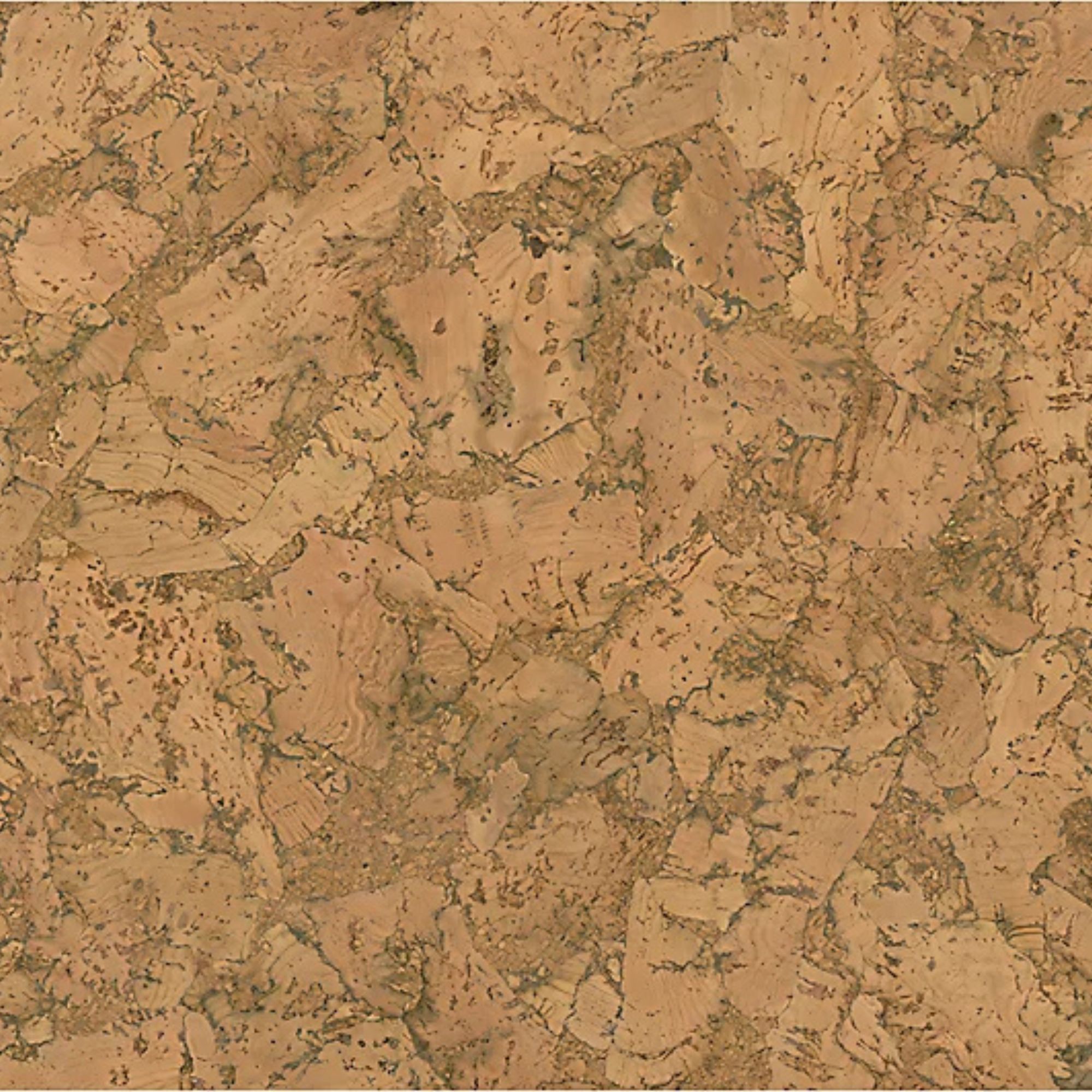 CorkSystem, Beautiful Cork Wall Panel - Natural