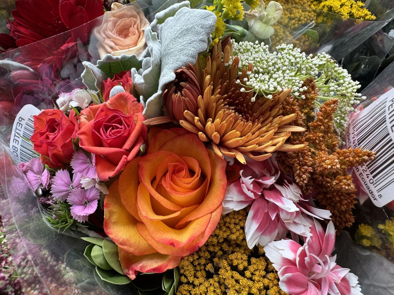 Apple iPhone 15 Pro Max camera sample.