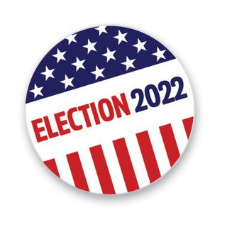 Logo of the USA elections 2022