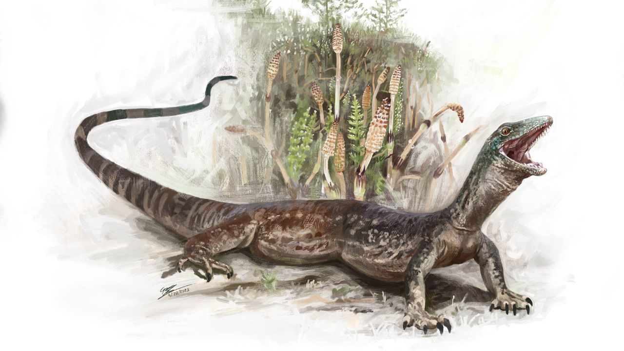 Mysterious 160 million-year-old creature unearthed on Isle of Skye is part lizard, part snake