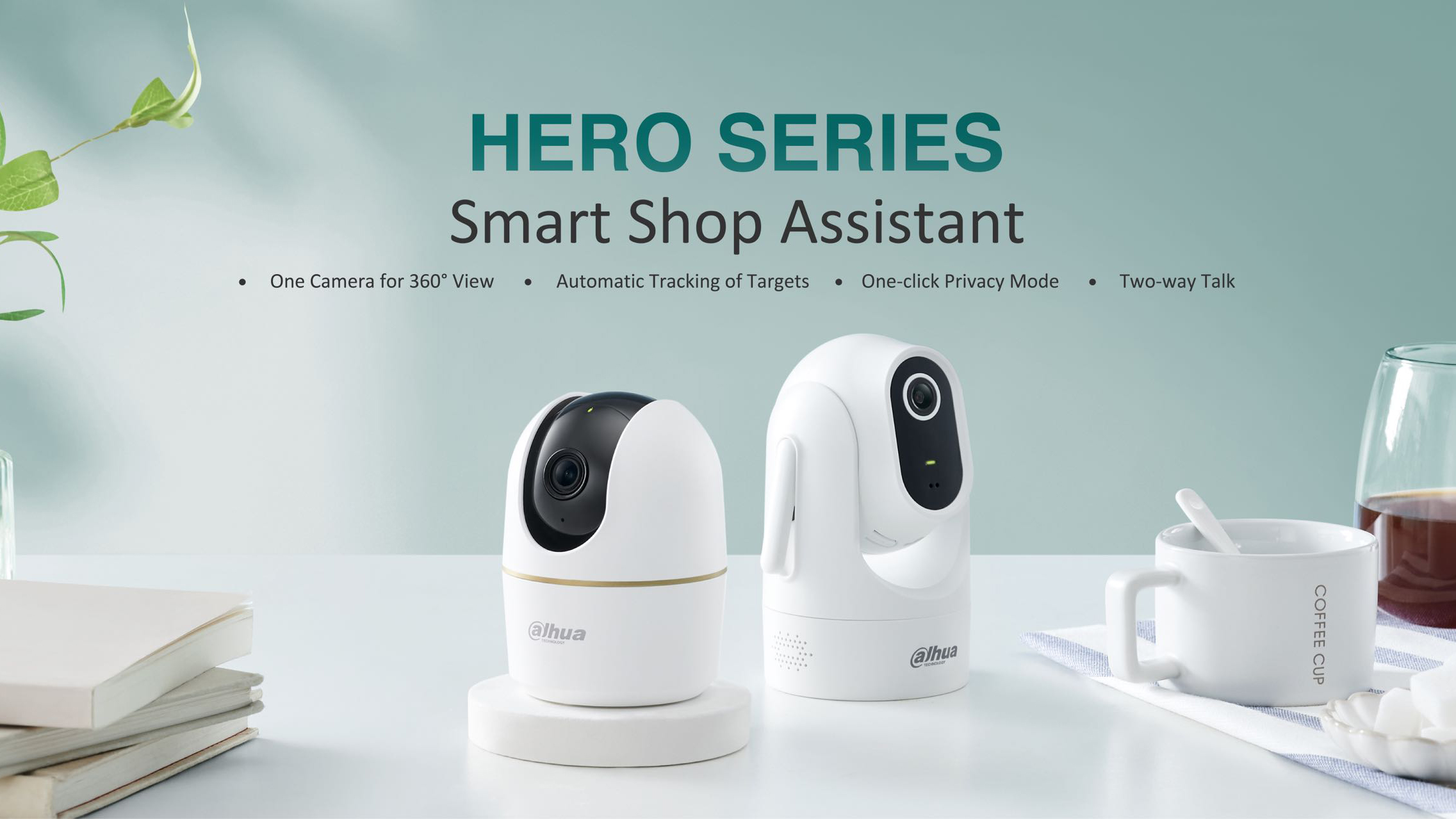 Dahua security cameras