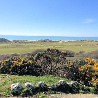 view of gorse and sea