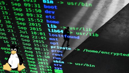 A screenshot of a Linux directory listing with a picture of Tux, the Linux mascot, in the corner; a person is walking in the reflection on the screen.