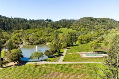 Napa Cabernet vineyard property, Sothebys International Realty