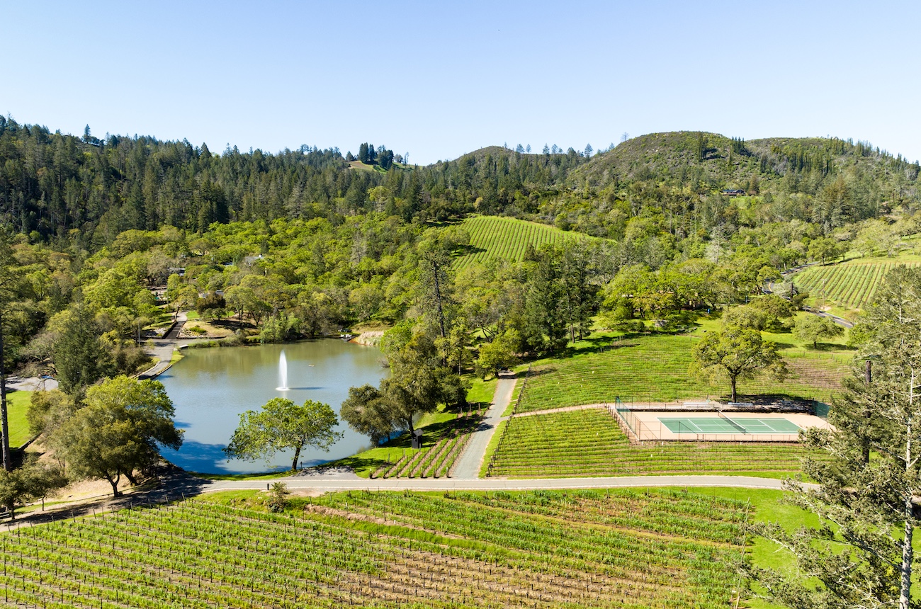 Napa Cabernet vineyard property, Sothebys International Realty