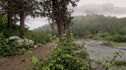 Bad Robo jungle environment made in Dreams