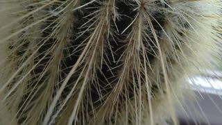 ZTE Axon 30 5G review