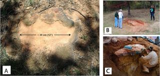 (A) The track that caught Ray Stanford's eye, leading him to discover the stone slab; (B) the slab after a partial excavation; and (C) researchers excavating and "jacketing" the slab with plaster to protect it.