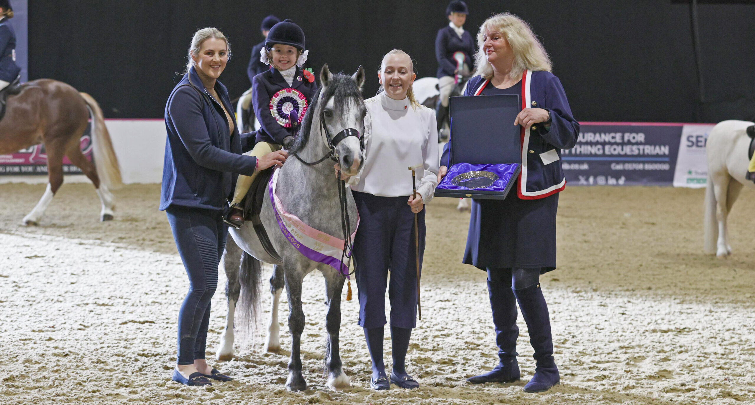 Thistledown Alice is champion at Your Horse Live in amateur showing class