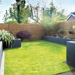 Back garden with lawn surrounded by raised beds and wooden fence