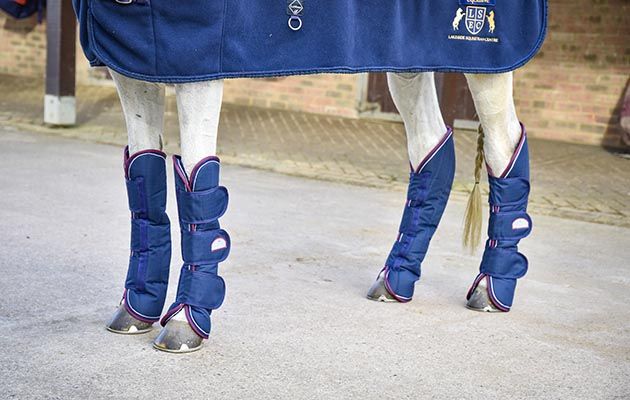 Equitheme travel boots review