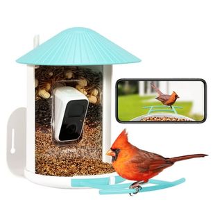 Birdfy Smart Bird Feeder With Camera 