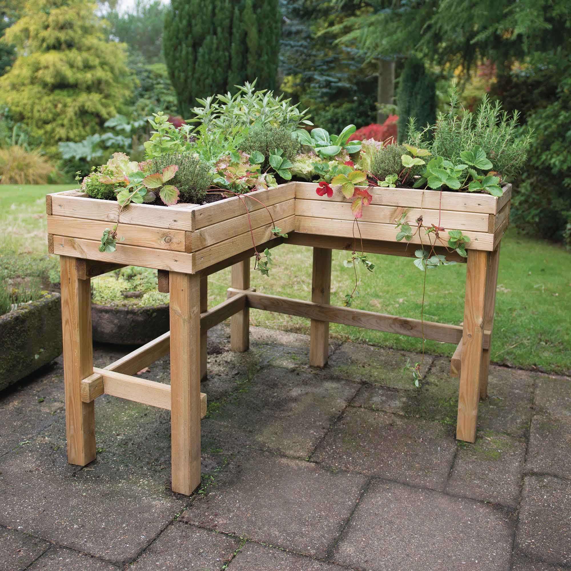 raised planter from Cuckooland