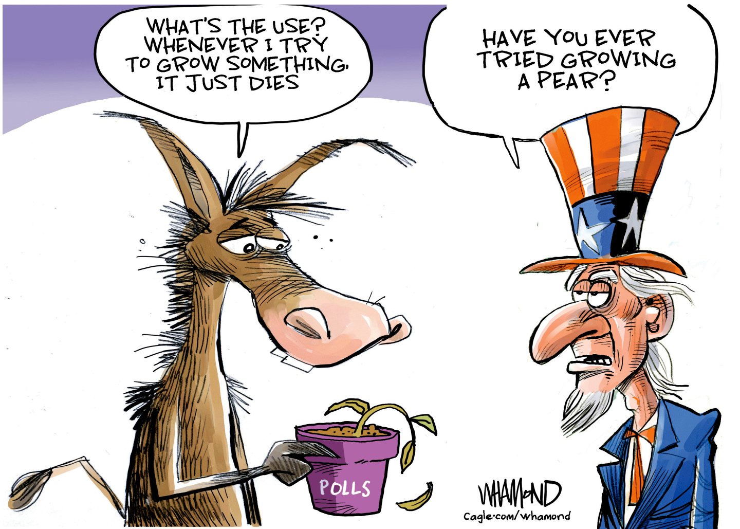 This editorial cartoon shows a donkey speaking with Uncle Sam. The donkey holds a dying plant labeled “Polls”. The donkey says, “What’s the use? Whenever I try to grow something, it just dies.” Uncle Sam responds, “Have you tried growing a pear?”