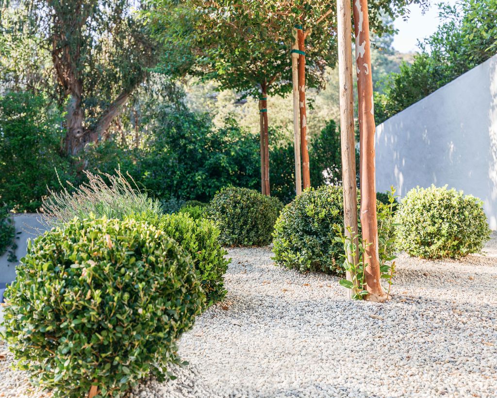 Mediterranean backyard design tips from a landscape designer | Homes ...