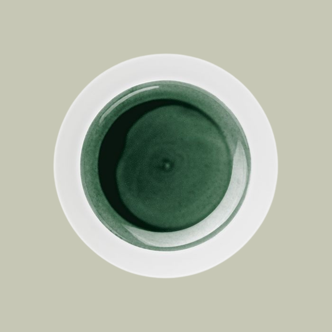 Hering Berlin Shallow Plate, High Rim in white and green porcelain sits against pale green background.