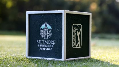 A Biltmore Championship Ashville tee marker
