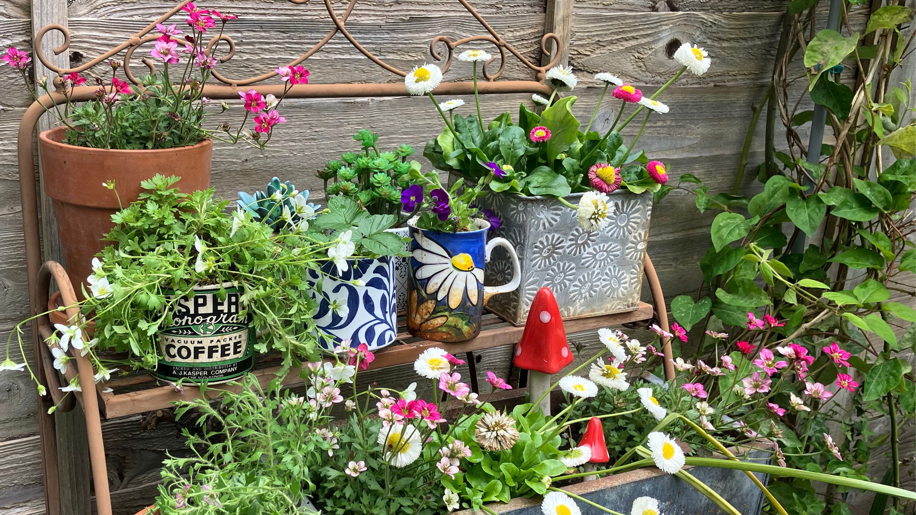 Recycled mini tea cup planters in garden filled with plants