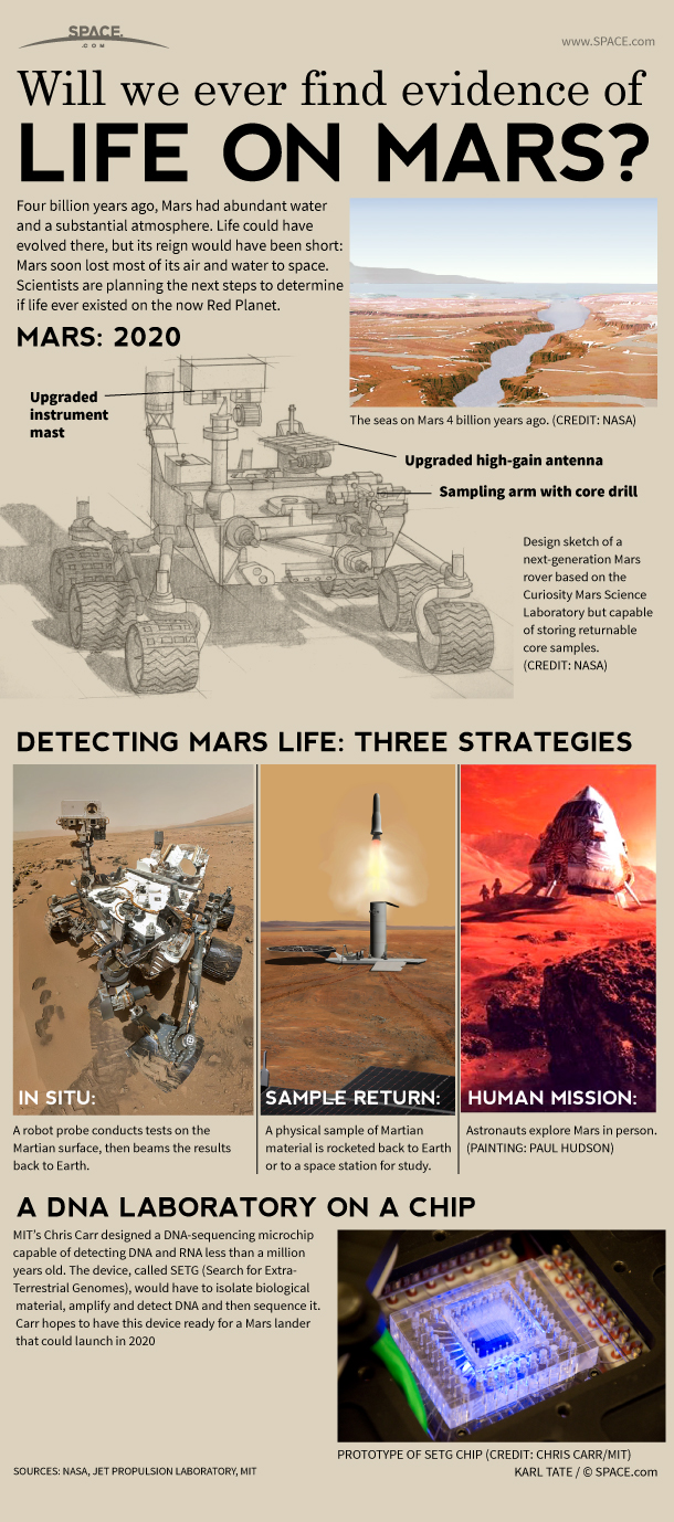 life on mars research paper