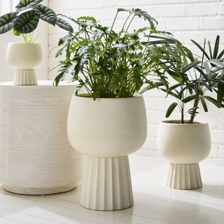 Large ceramic planter 