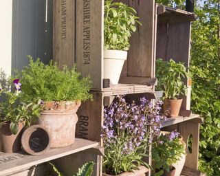 Stacking vintage crate herb garden