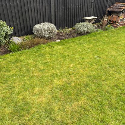Lawn after mowing by Bosch VISIMOW18V-100 Robot Lawn Mower