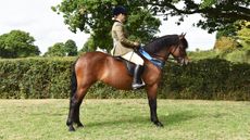 UKPH amateur ridden