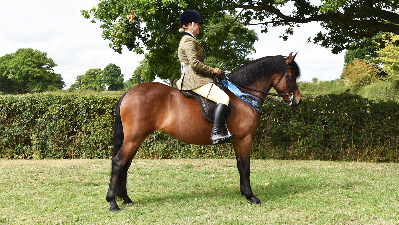 UKPH amateur ridden