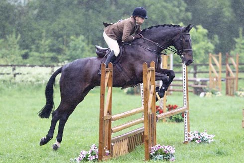 Digby, The Horse Show champion