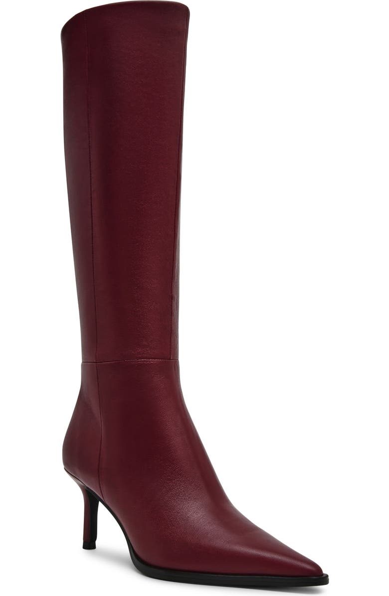 Lingo Pointed Toe Knee High Boot