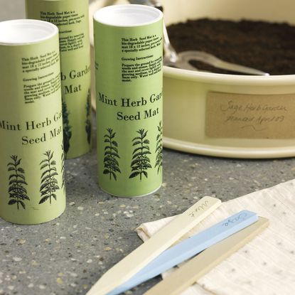 mint herb garden seed mat with lollipop sticks
