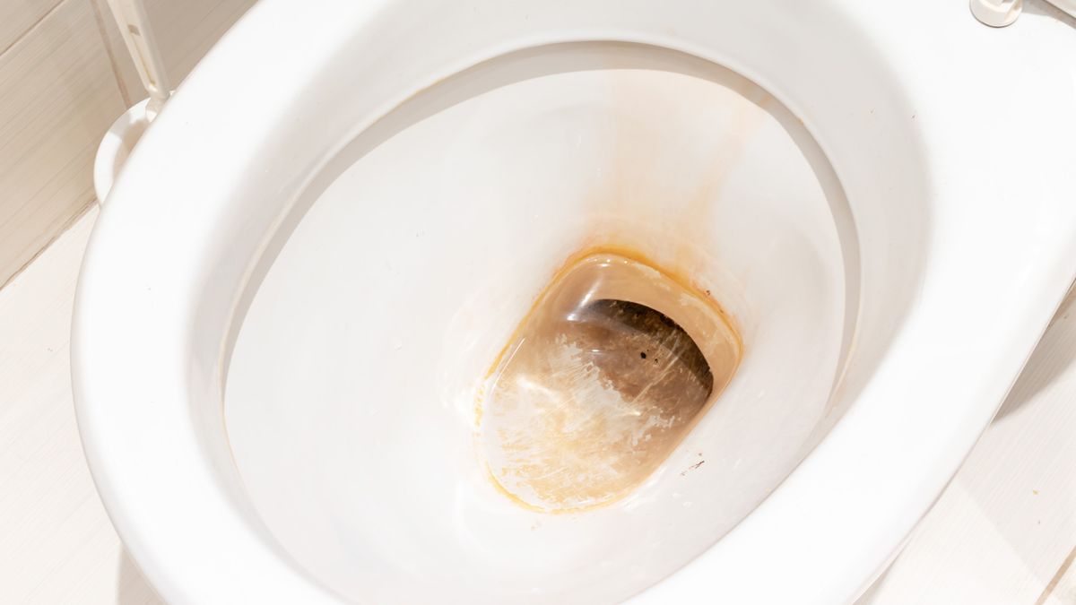 Post image 6