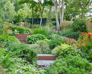 corten steel and gravel steps among planted borders in a sloping garden design by Sara Jane Rothwell