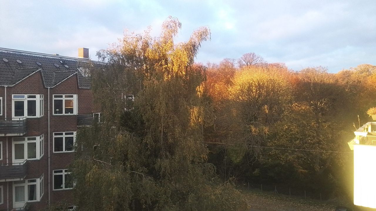 Nokia T20 photo sample