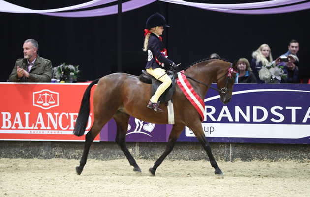 HOYS 2018 - free PR images reuse in HOYS context