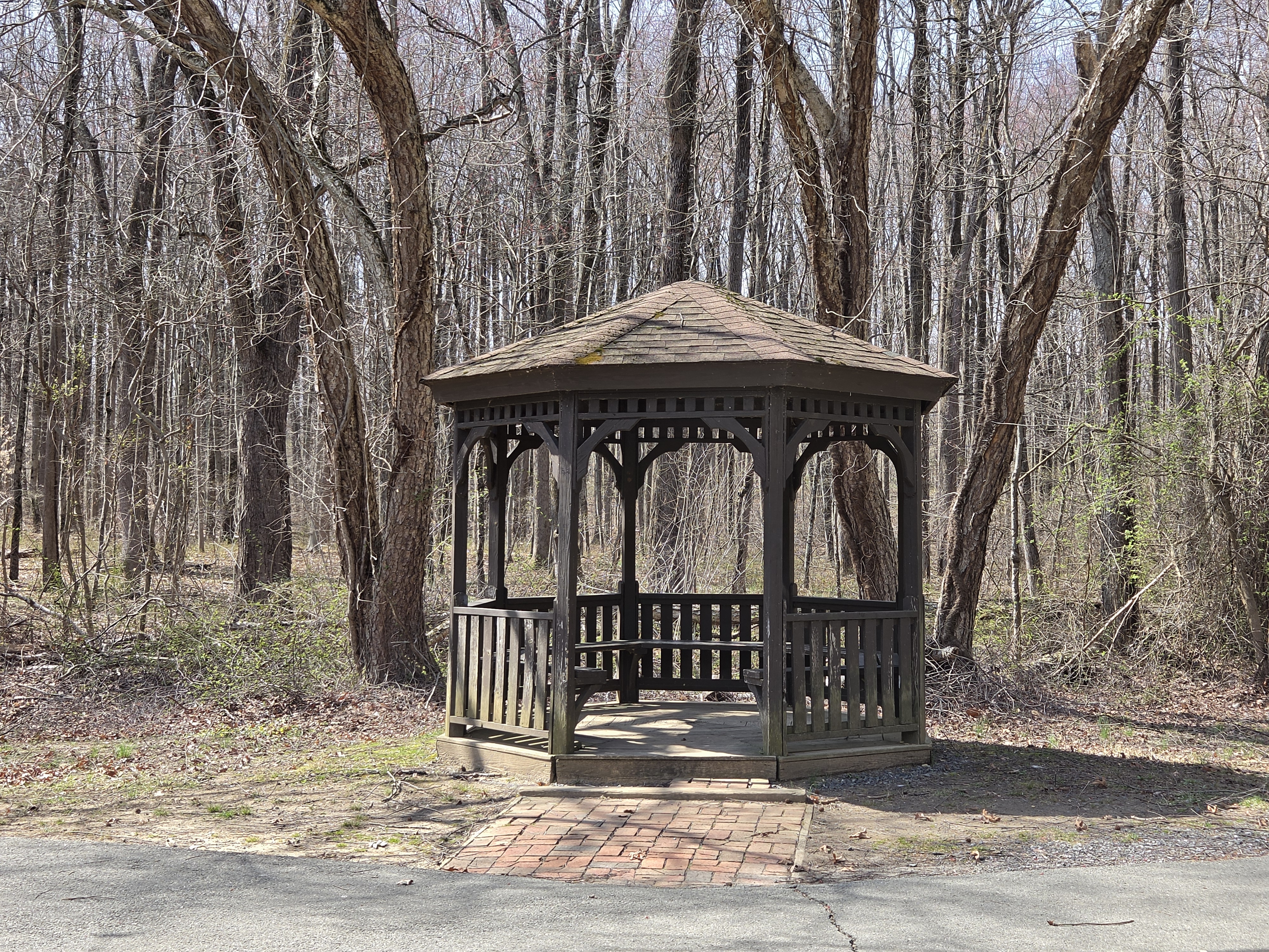 Samsung Galaxy S26 Plus camera samples