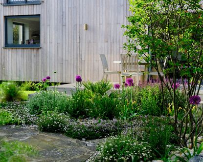 a modern dry garden with layered planting in front of a modern home