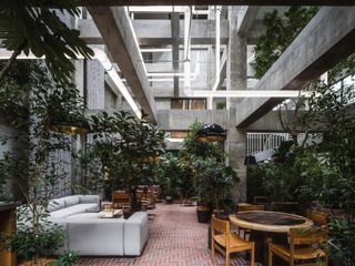 Interior with large green plants and seating areas