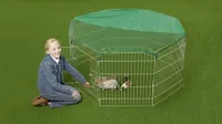 Best Rabbit Runs