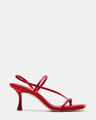 Locke Red Dainty Strappy Square Toe Heel | Women's Heels 
 Steve Madden