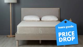 Birch Natural Mattress on a fabric bedframe with a blue price drop badge overlaid on the image 