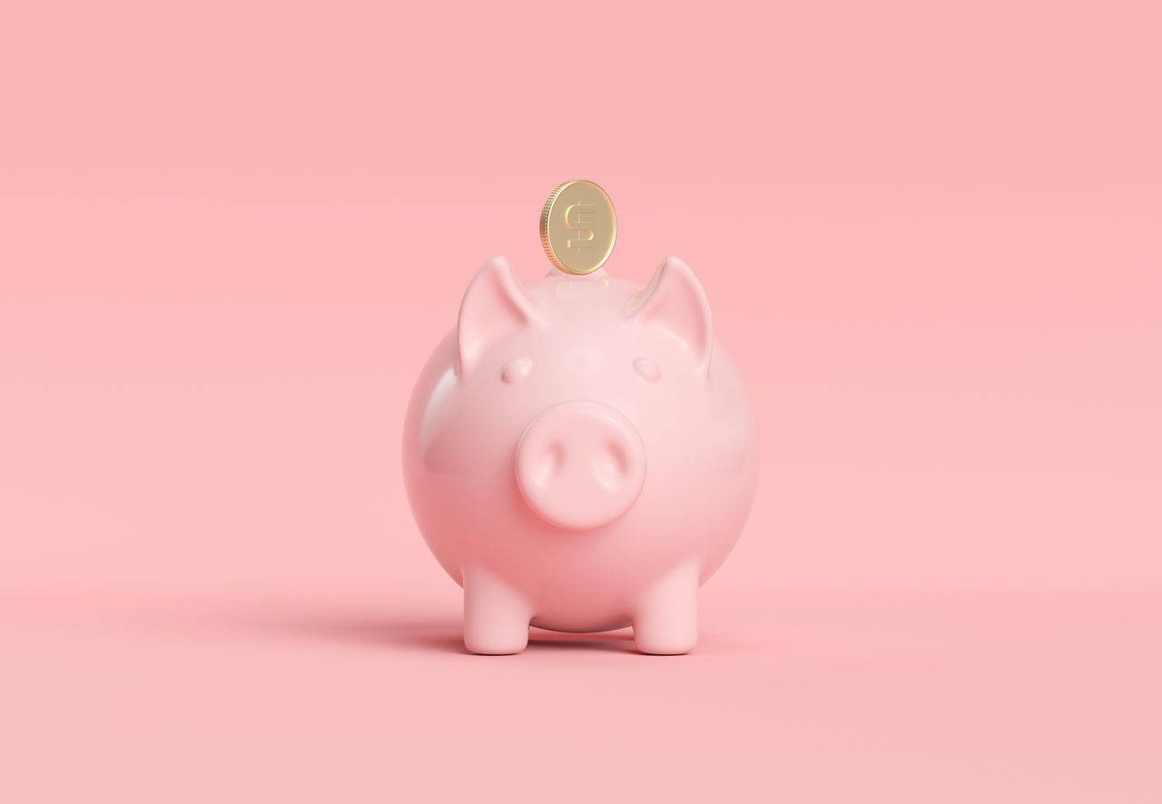 Pink piggy with dollar coin