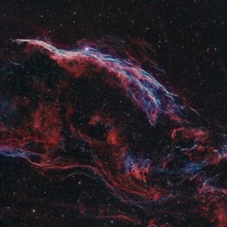 The Western Veil Nebula by Mr Imran Sultan